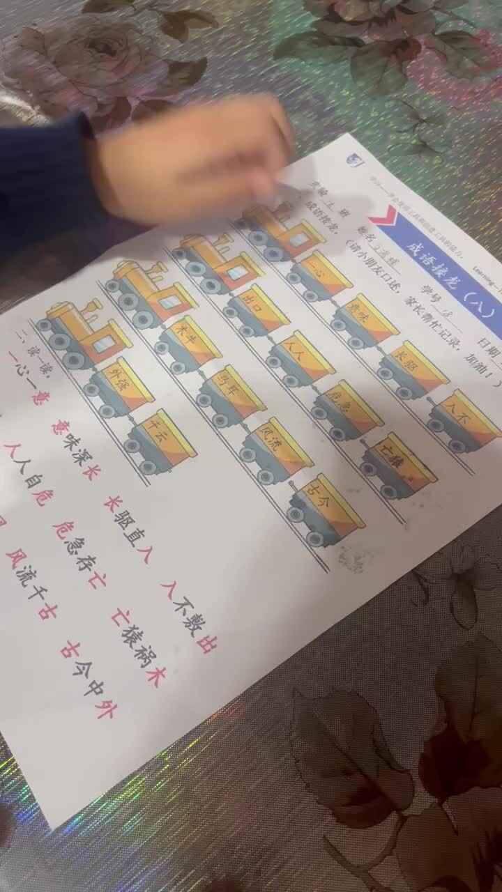 实验大班文浚棵2023.11.17