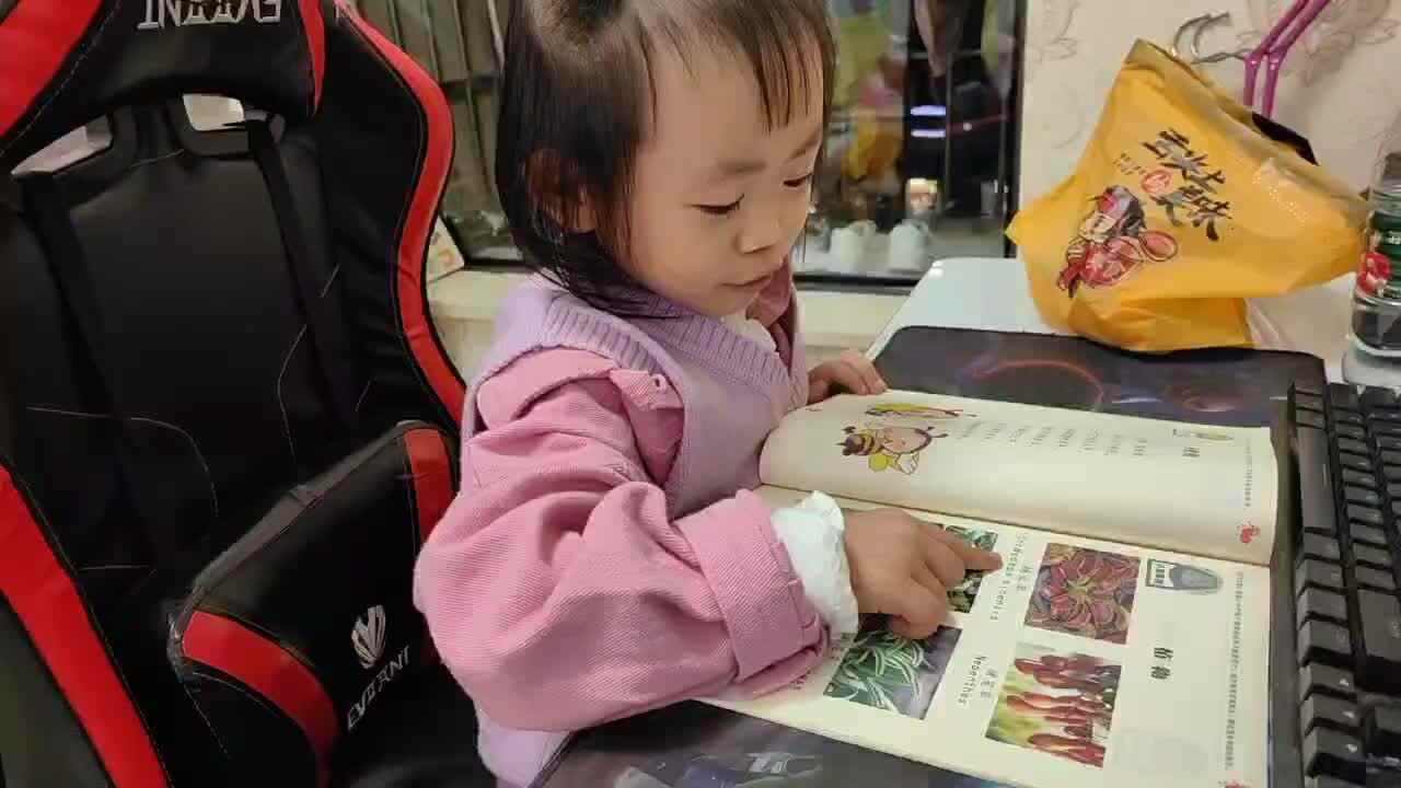中B班谭诗锜  11月7日  认识植物