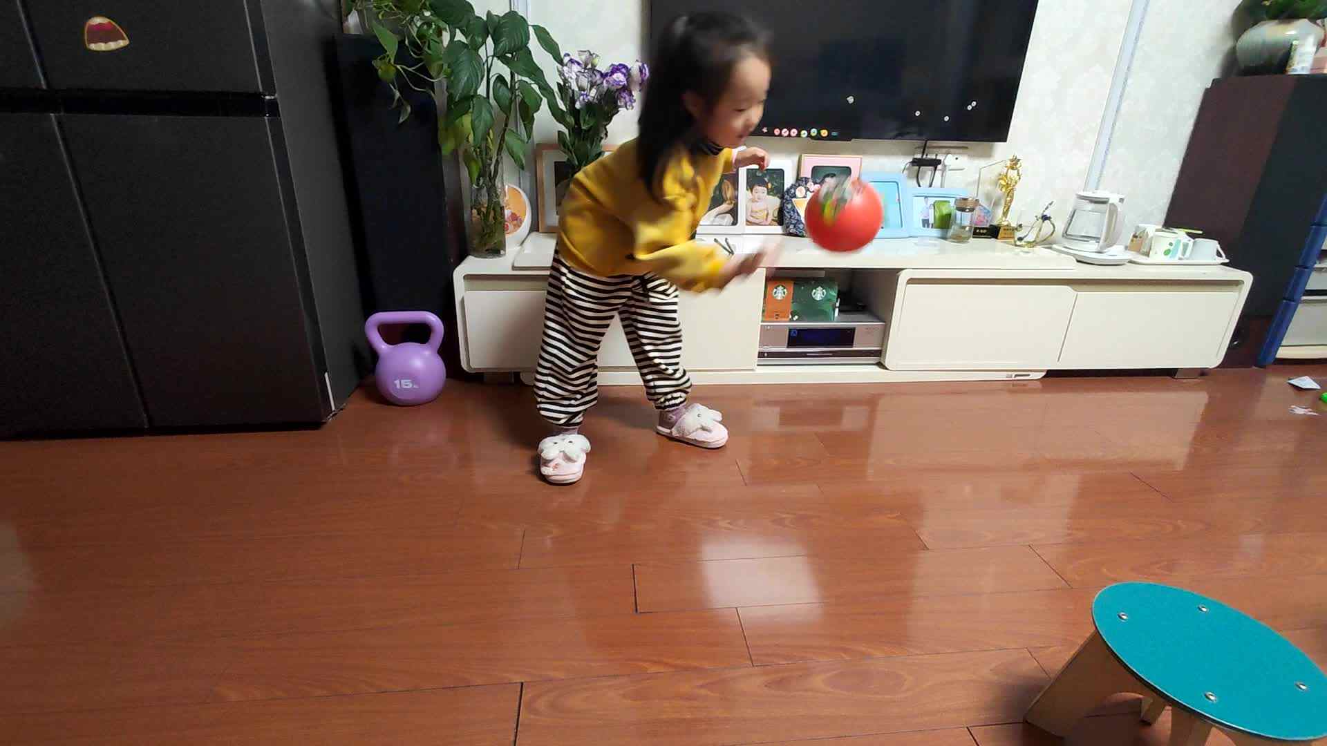 大B班朱佳柠20231119