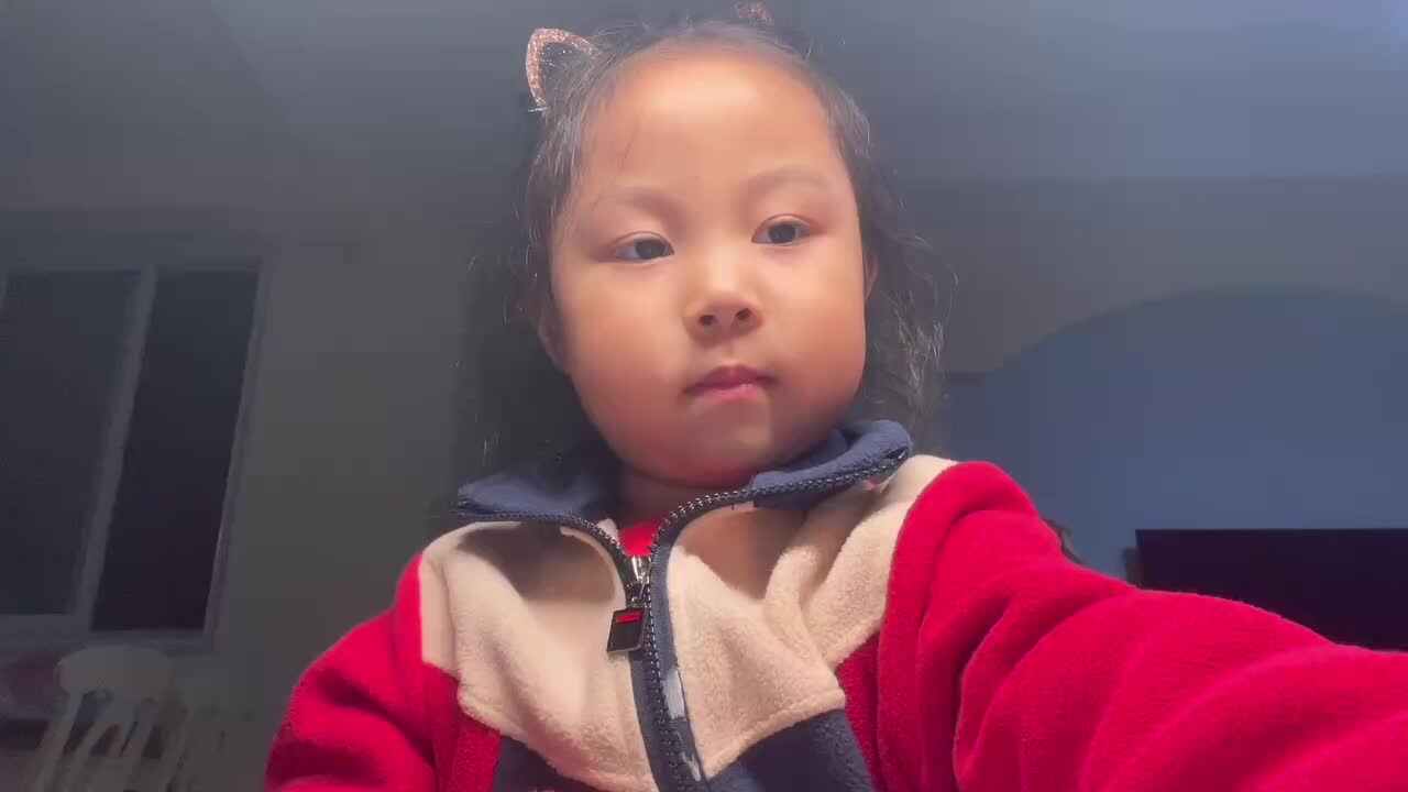 2023.11.29闯关练习-英语阅读