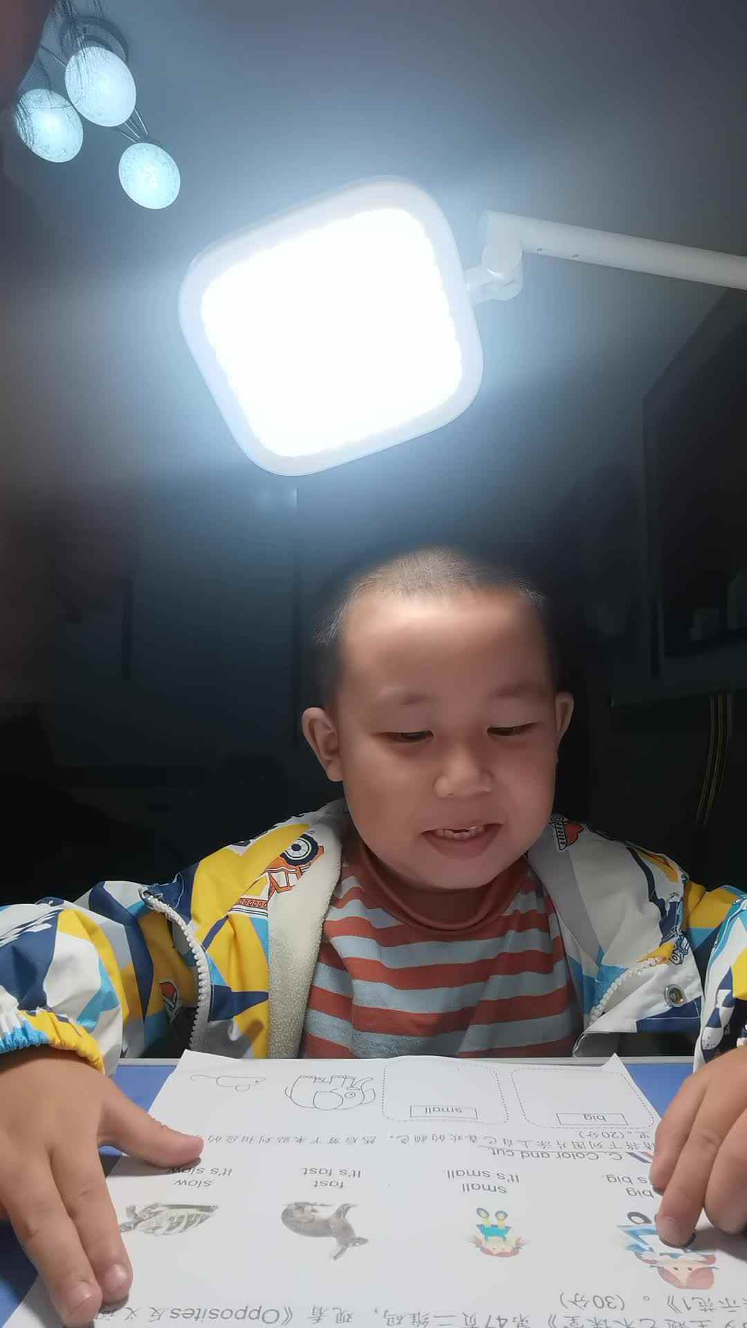 VID_20231126_205642.mp4