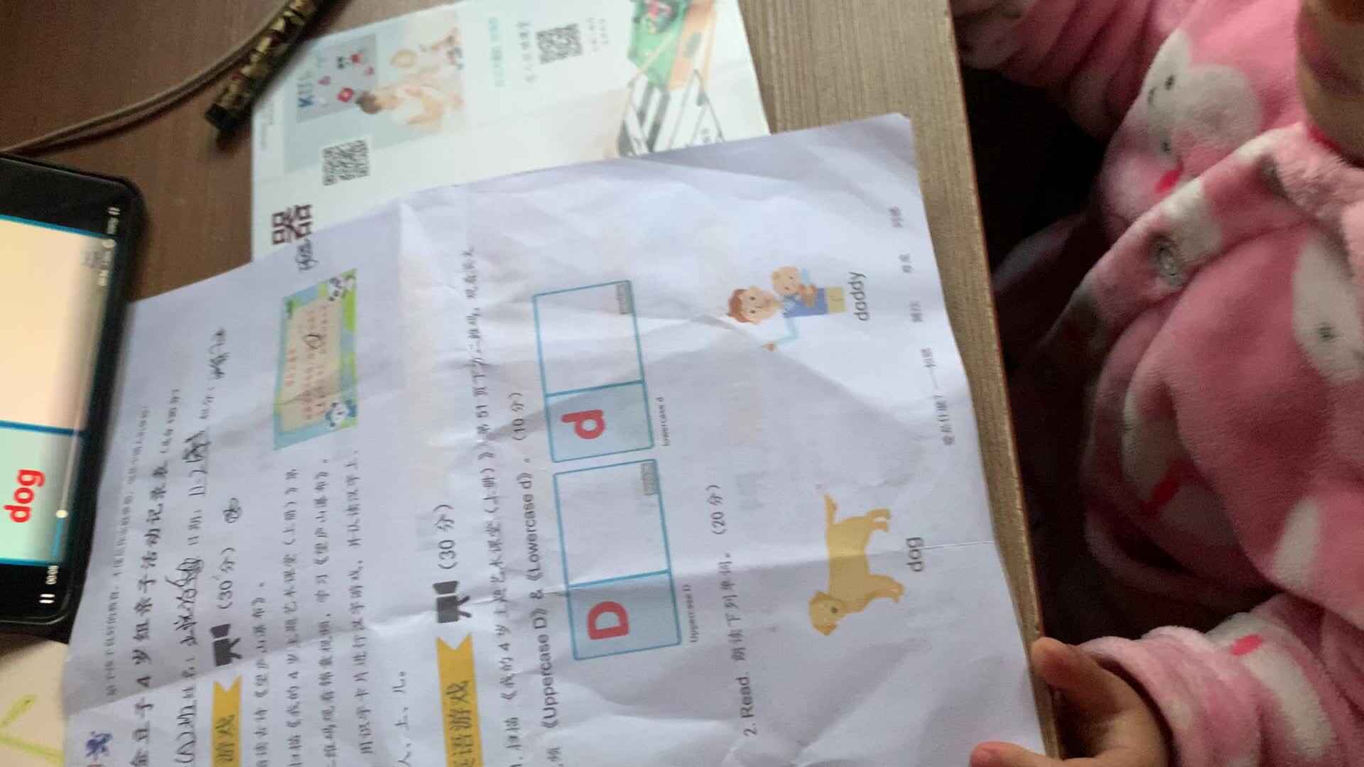 看英语视频并指认单词狗