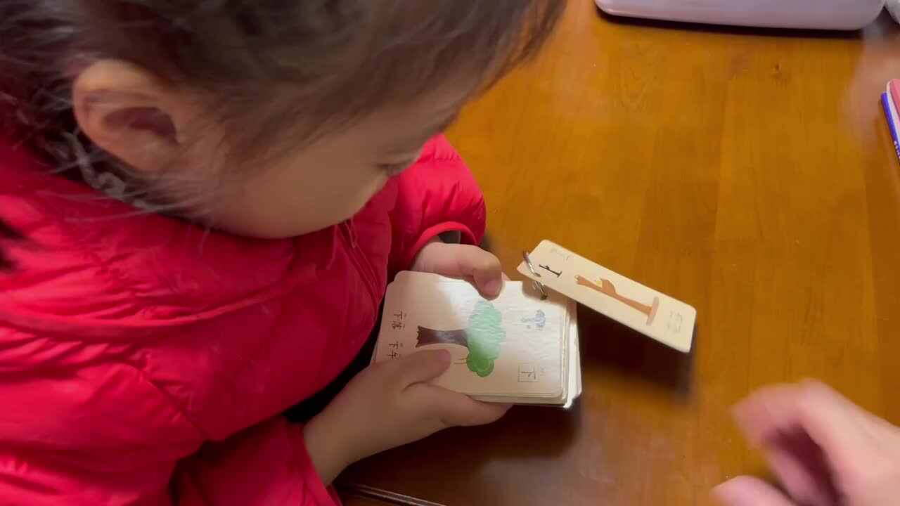 中B班李茵琪认识汉字上，下，人，土，儿.MOV