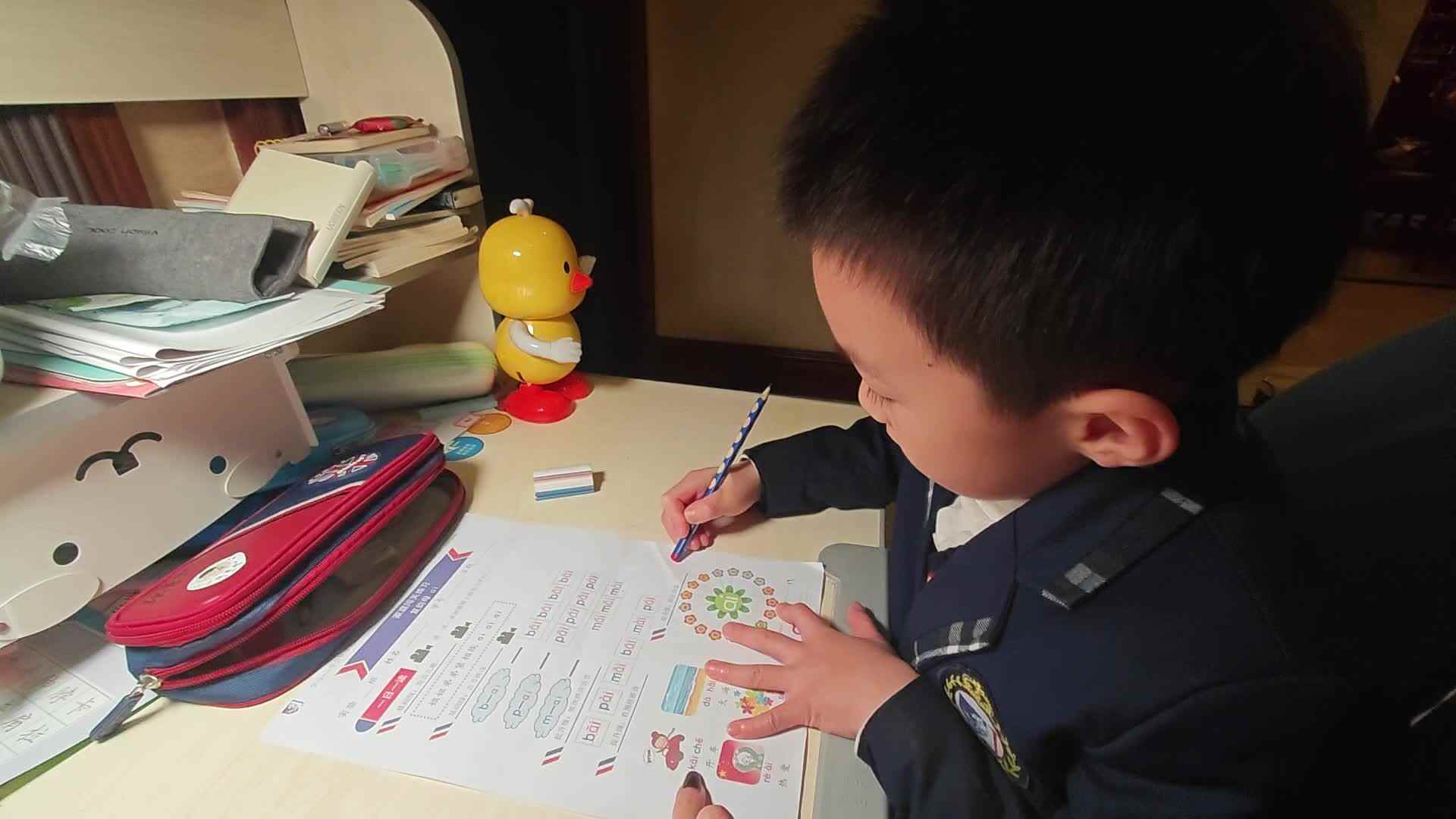 VID_20231113_175005.mp4