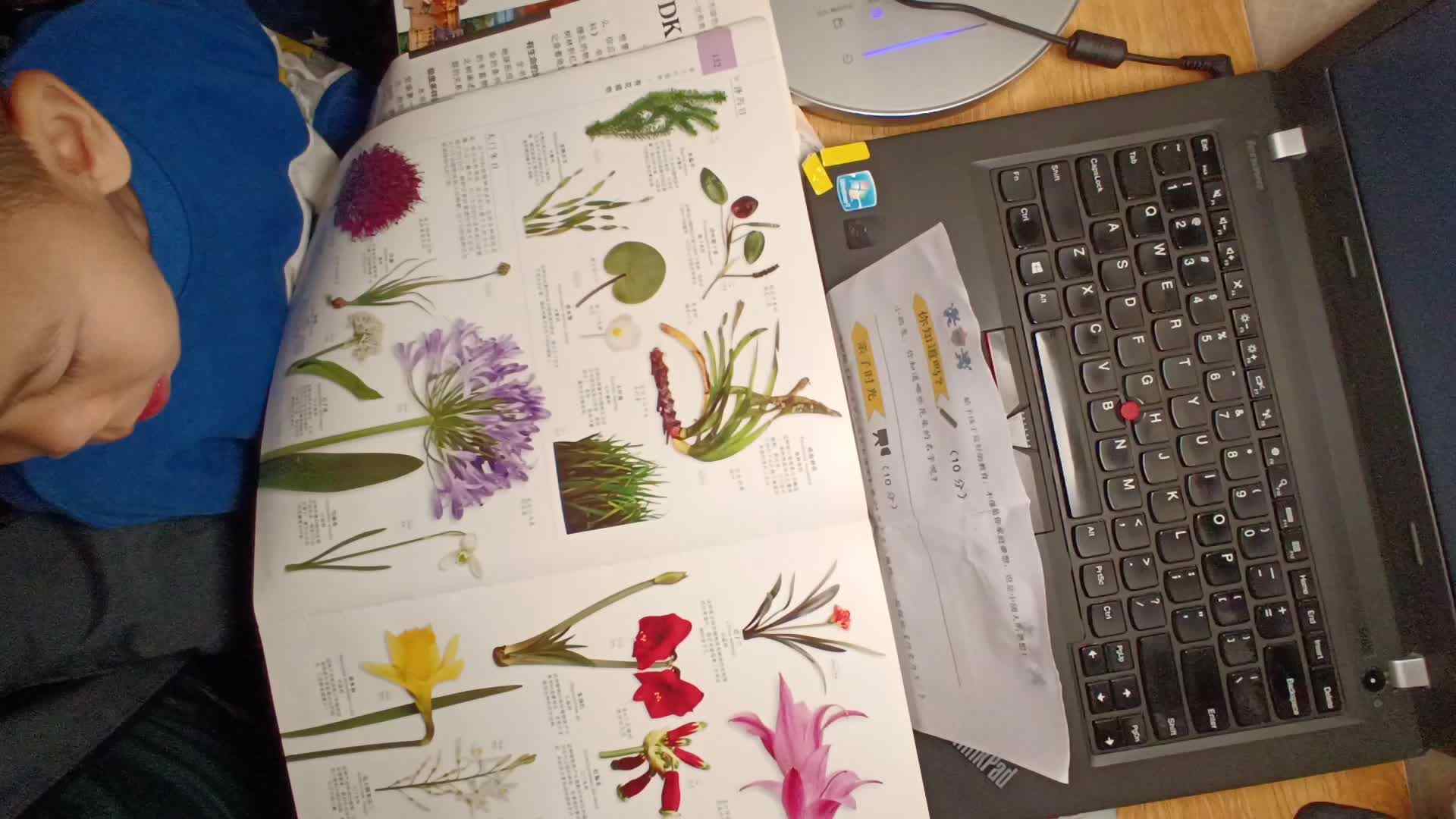 认识哪些花朵名字VID_20231105_231732.mp4