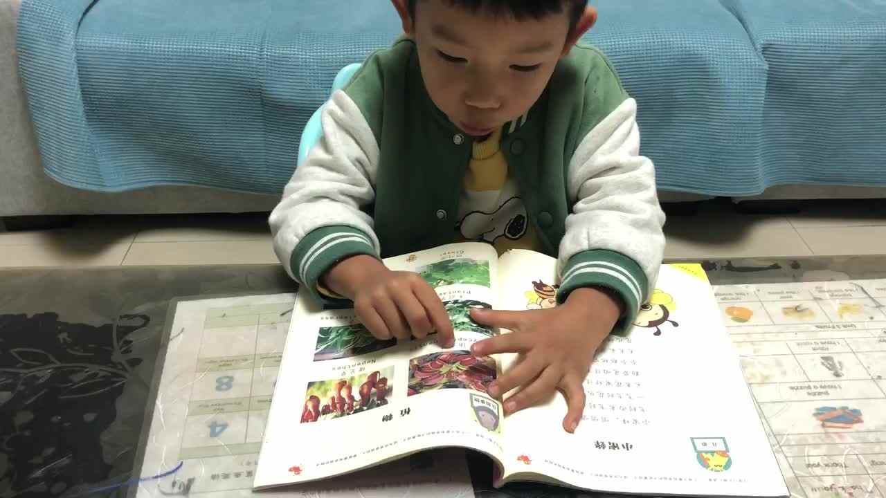 认识植物和特点