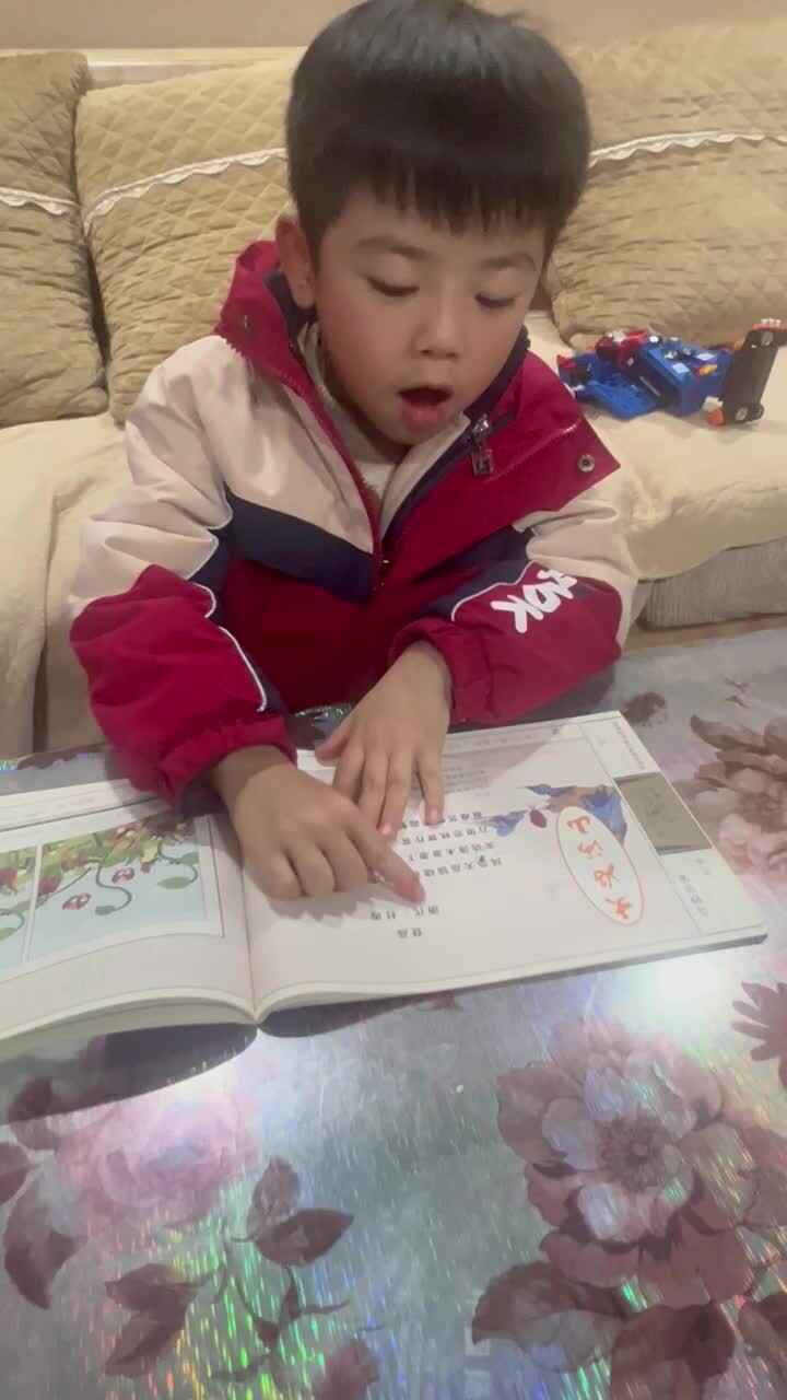 实验大班文浚棵2023.12.26