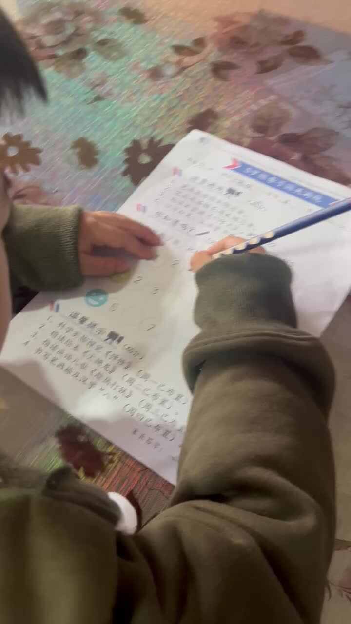 实验大班文浚棵2023.12.1