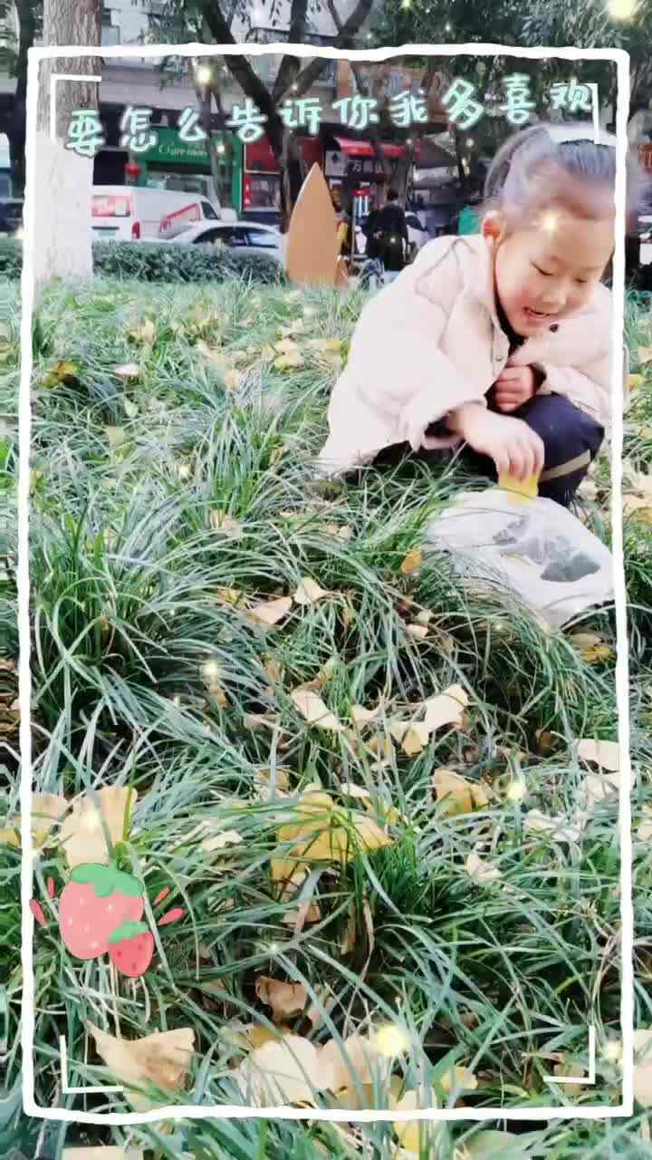 mmexport1703422668618.mp4