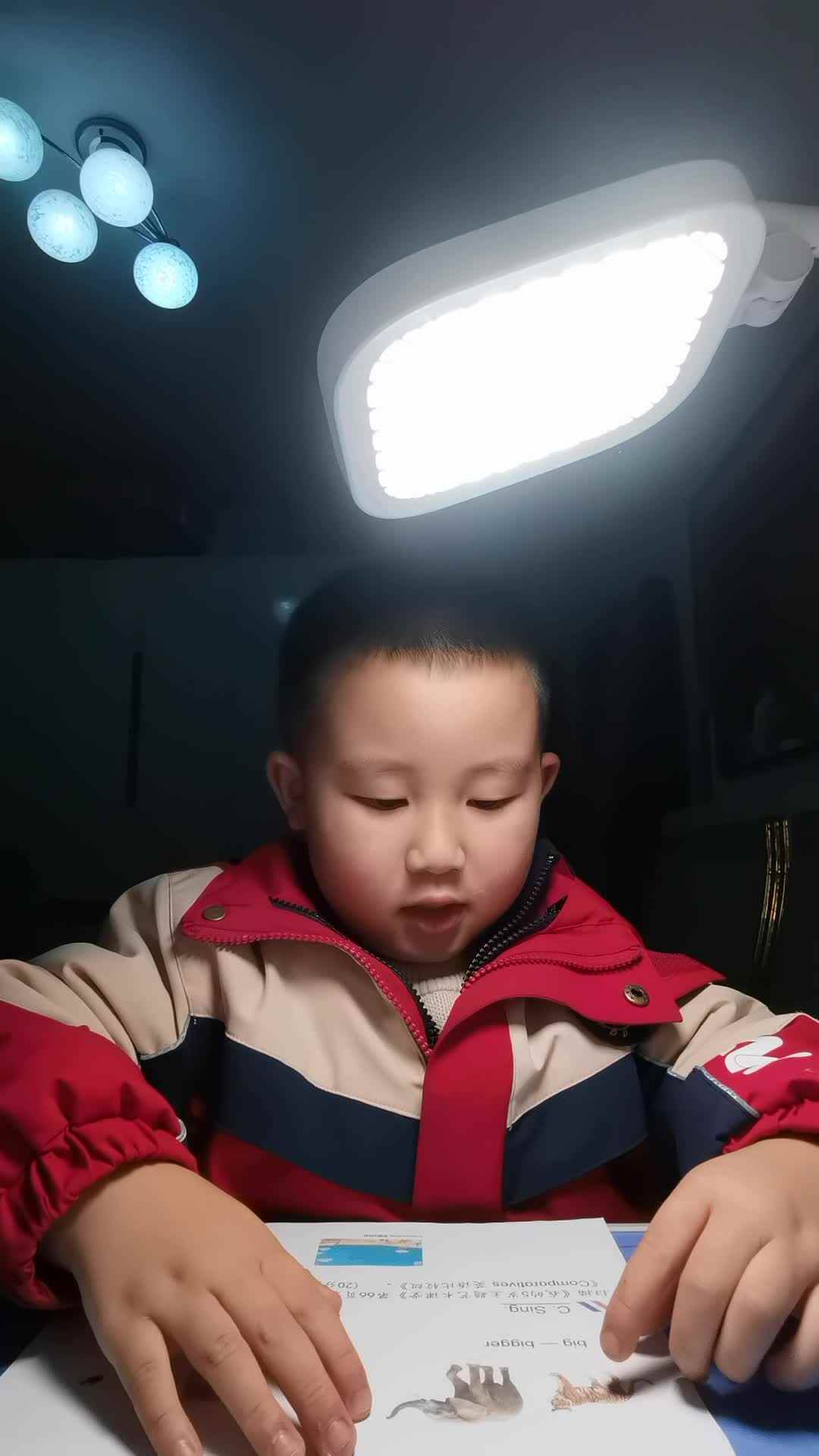 VID_20231225_210142.mp4