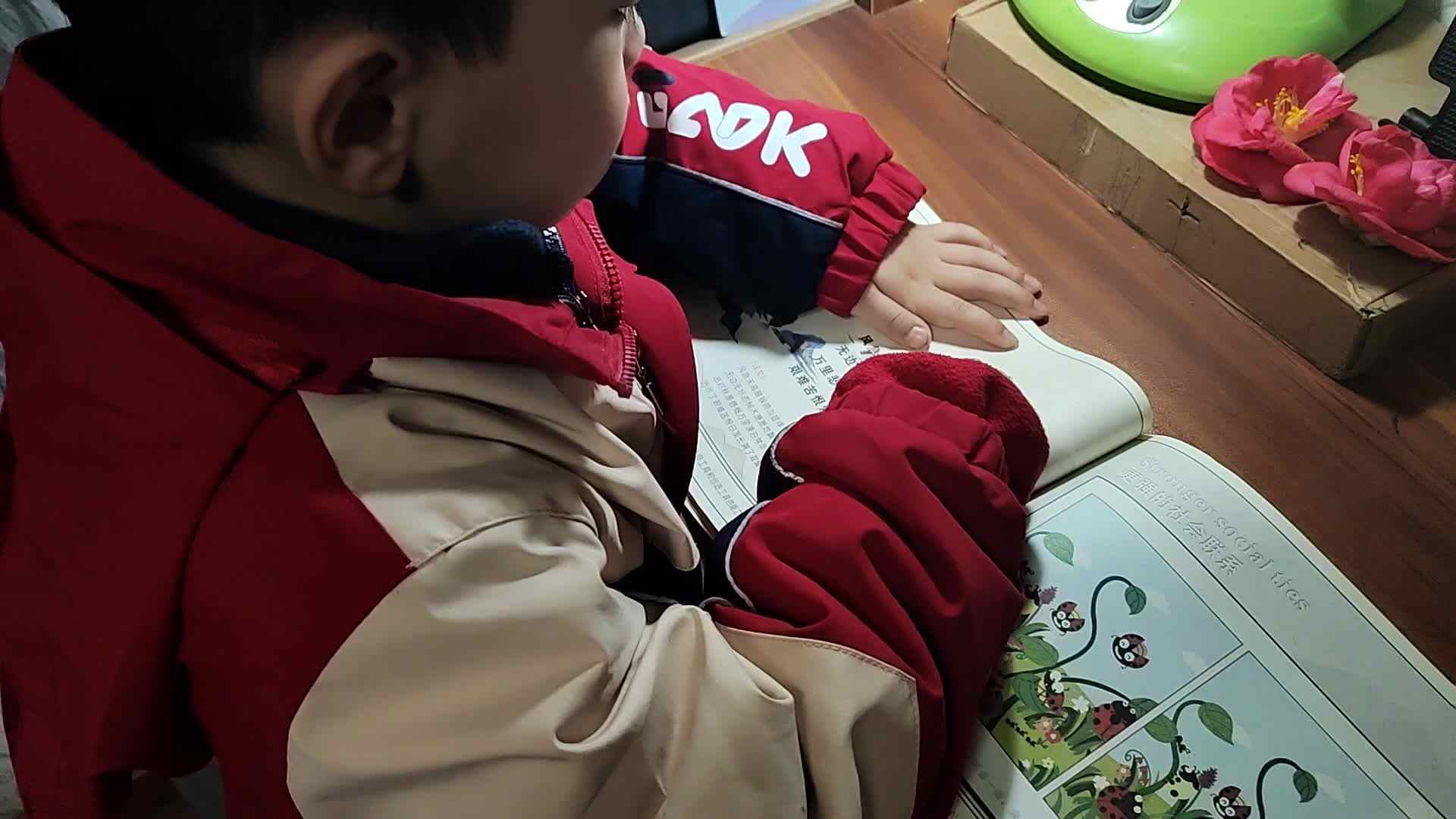 VID_20231227_190153.mp4