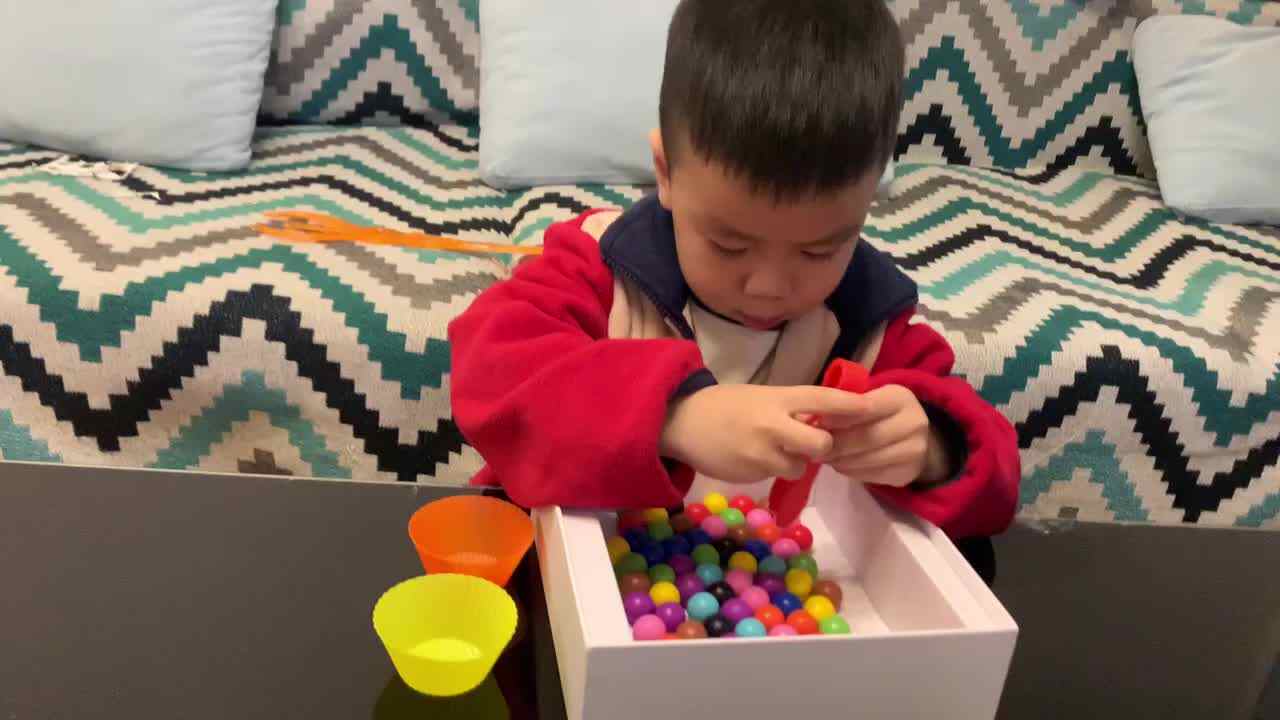 中B班杨育寒练习用夹子夹豆子