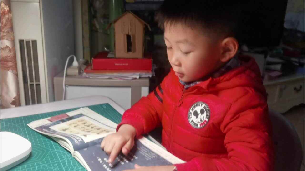 指读《旅夜书怀》.mp4