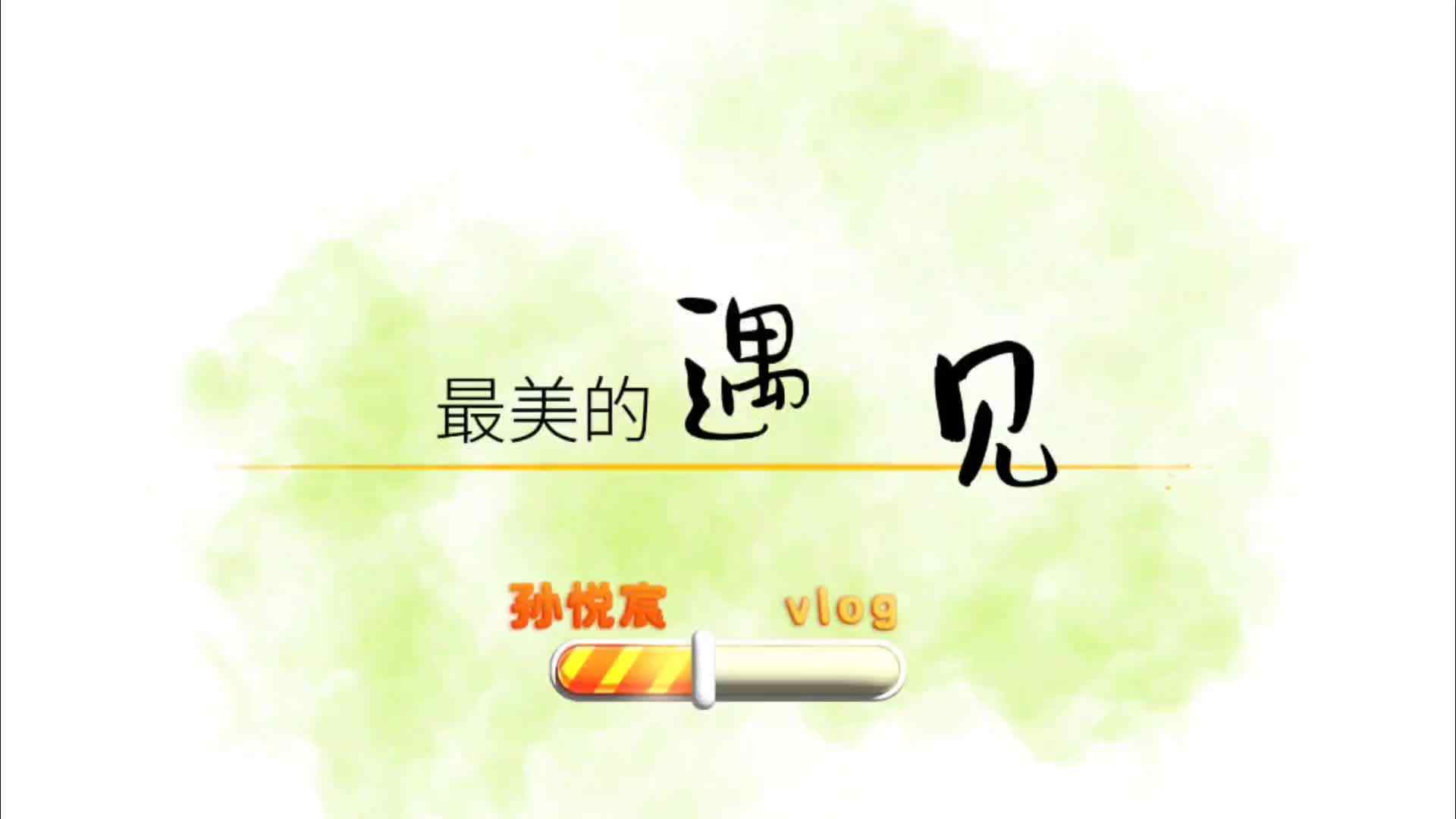 大A班孙悦宸-腊梅.mp4