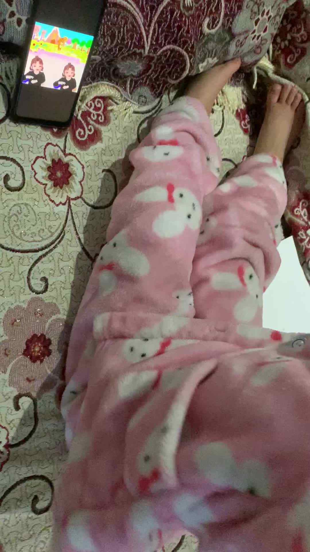 看视频小老虎歌曲