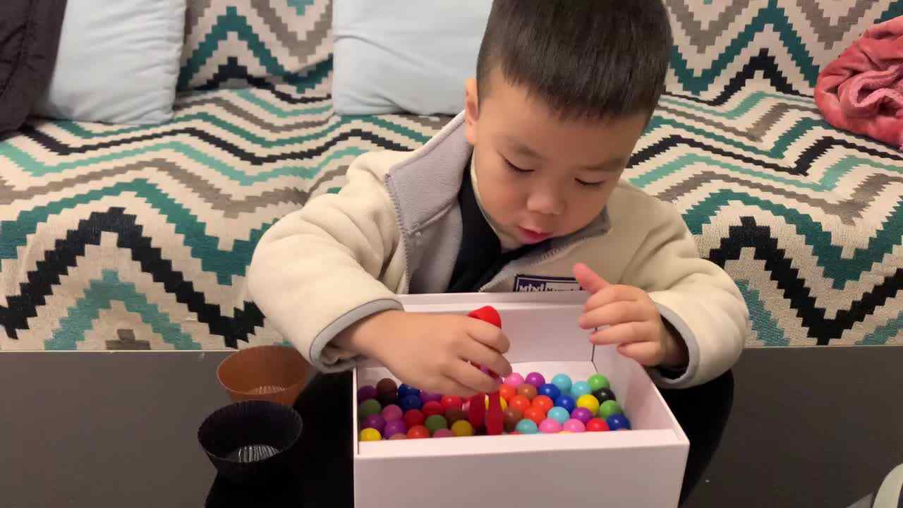 中B班杨育寒练习用夹子夹豆子