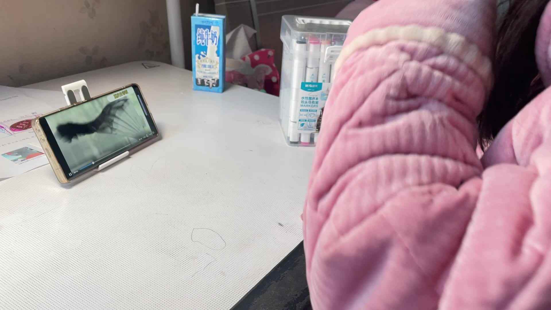 12.2屠钰婷⁣观看视频《重庆白帝城》.mov