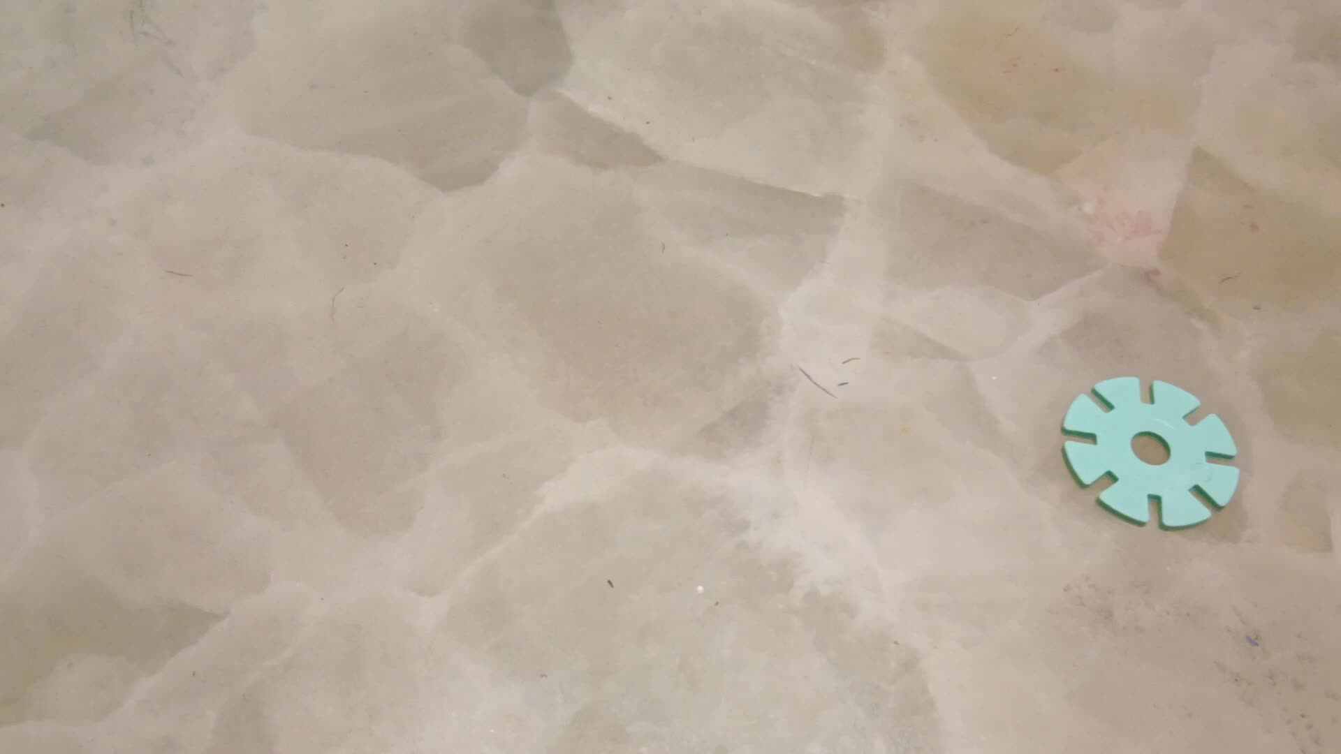 20231204大B班任依恬数物对应《35》