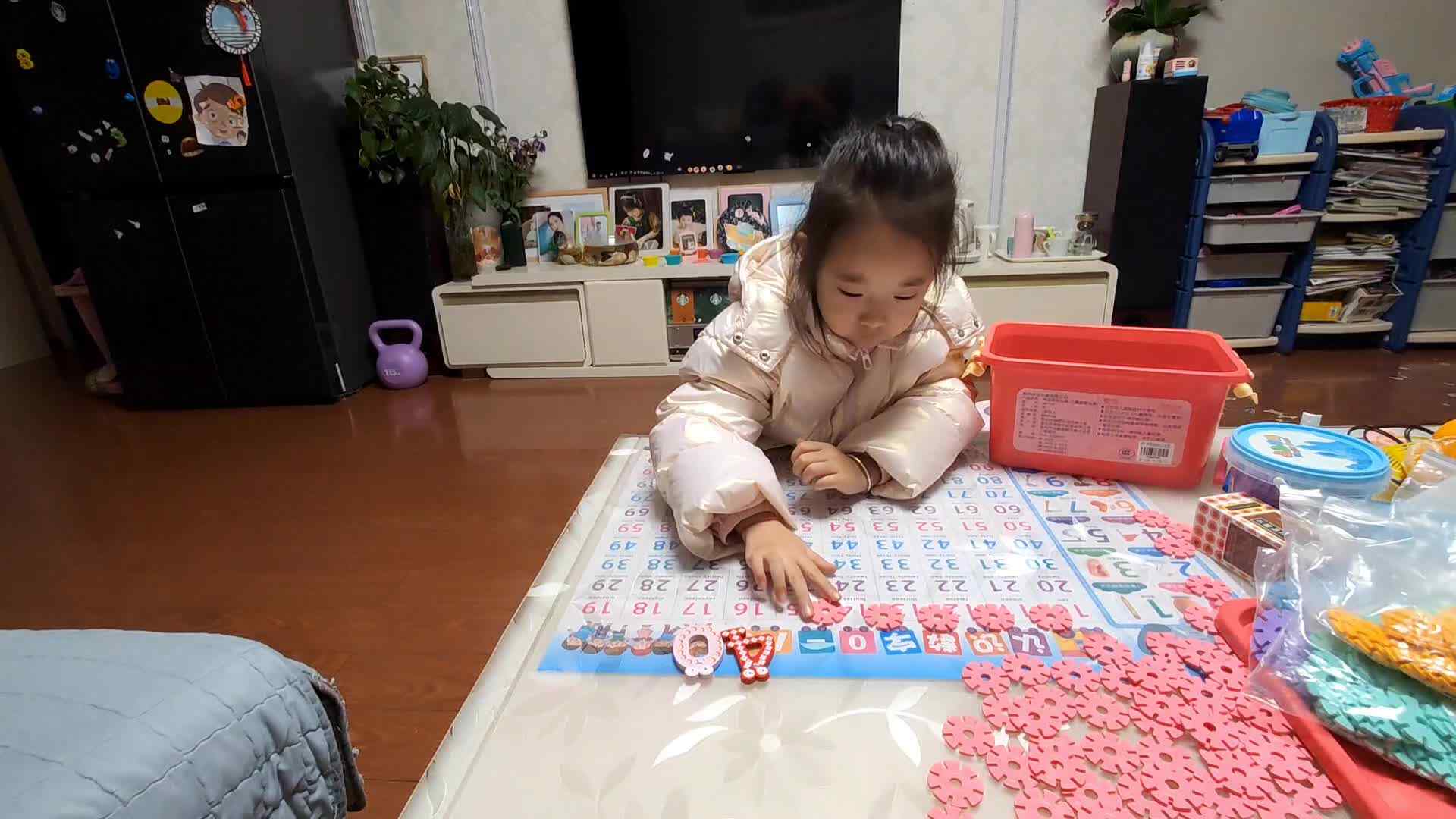 大B班朱佳柠20231205