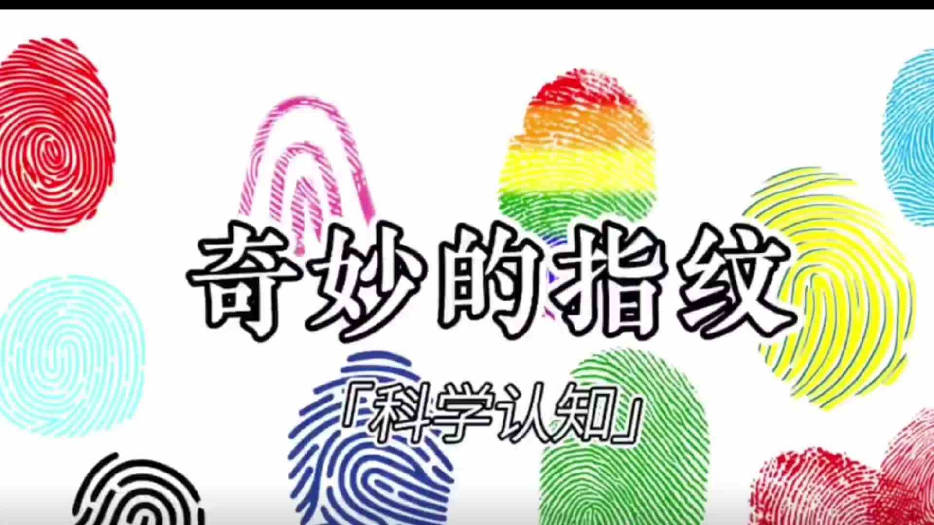 科学实验《神奇的指纹》