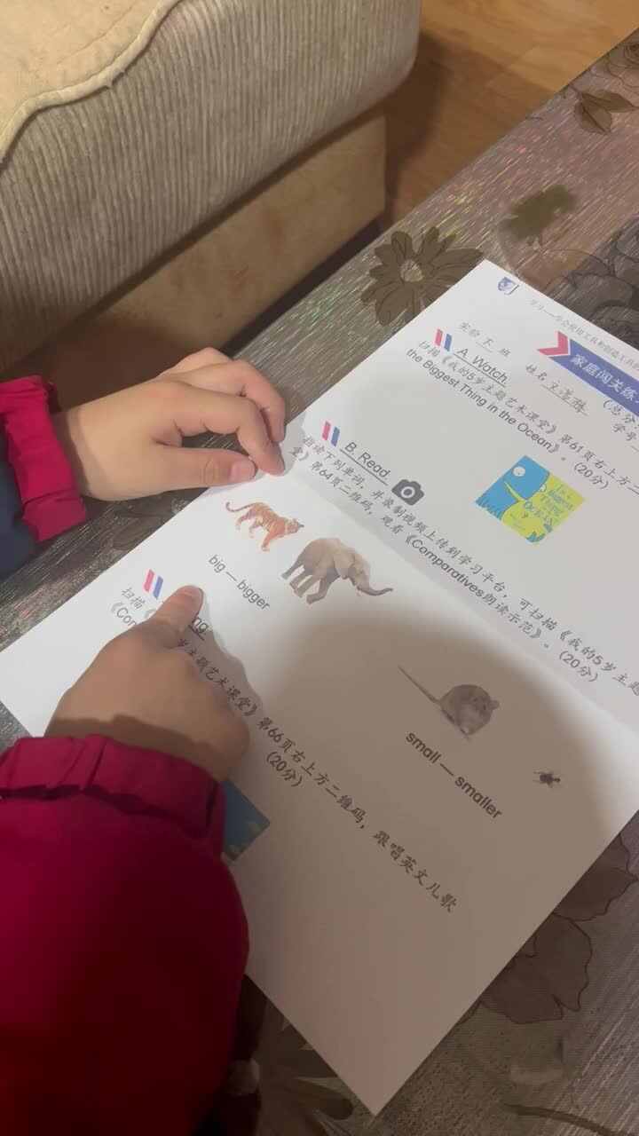 实验大班文浚棵2023.12.25