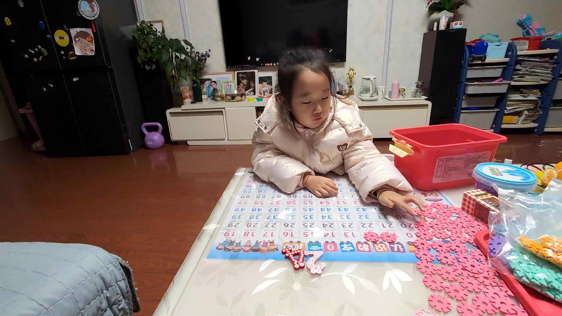 大B班朱佳柠20231205