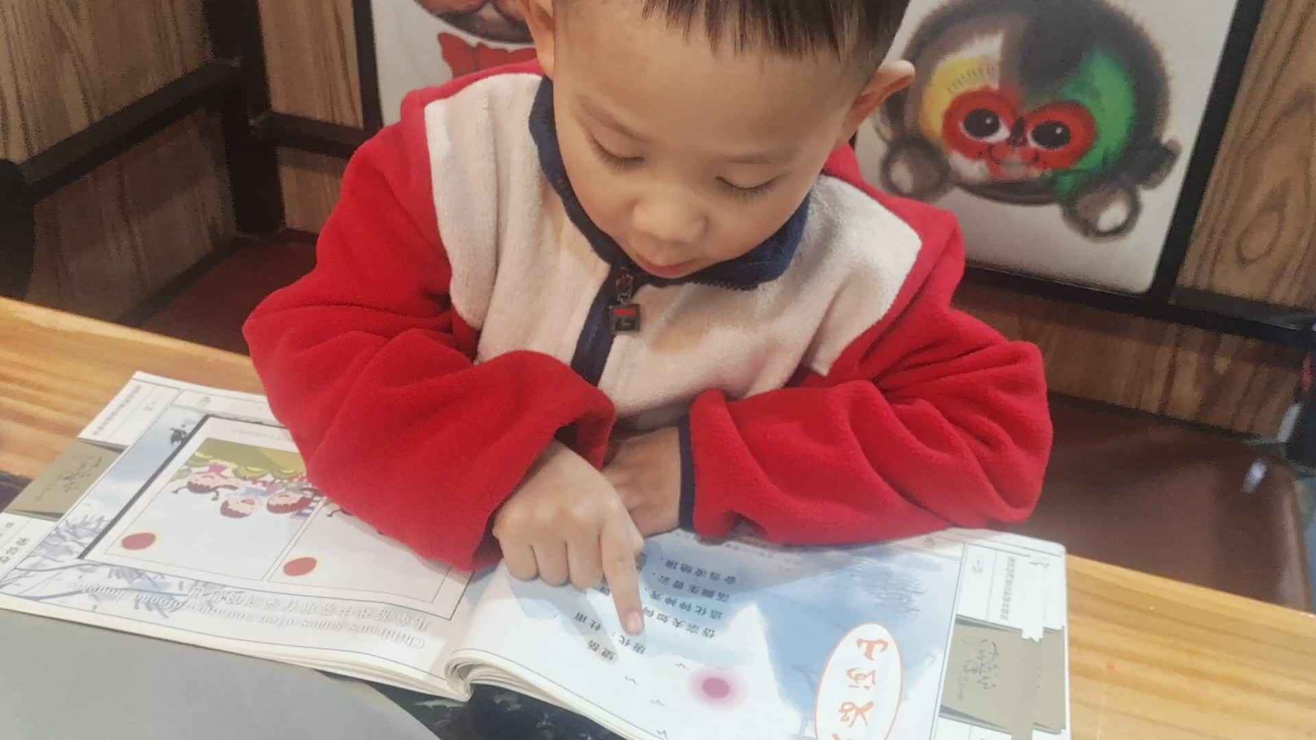 大B班王子扬指读望岳