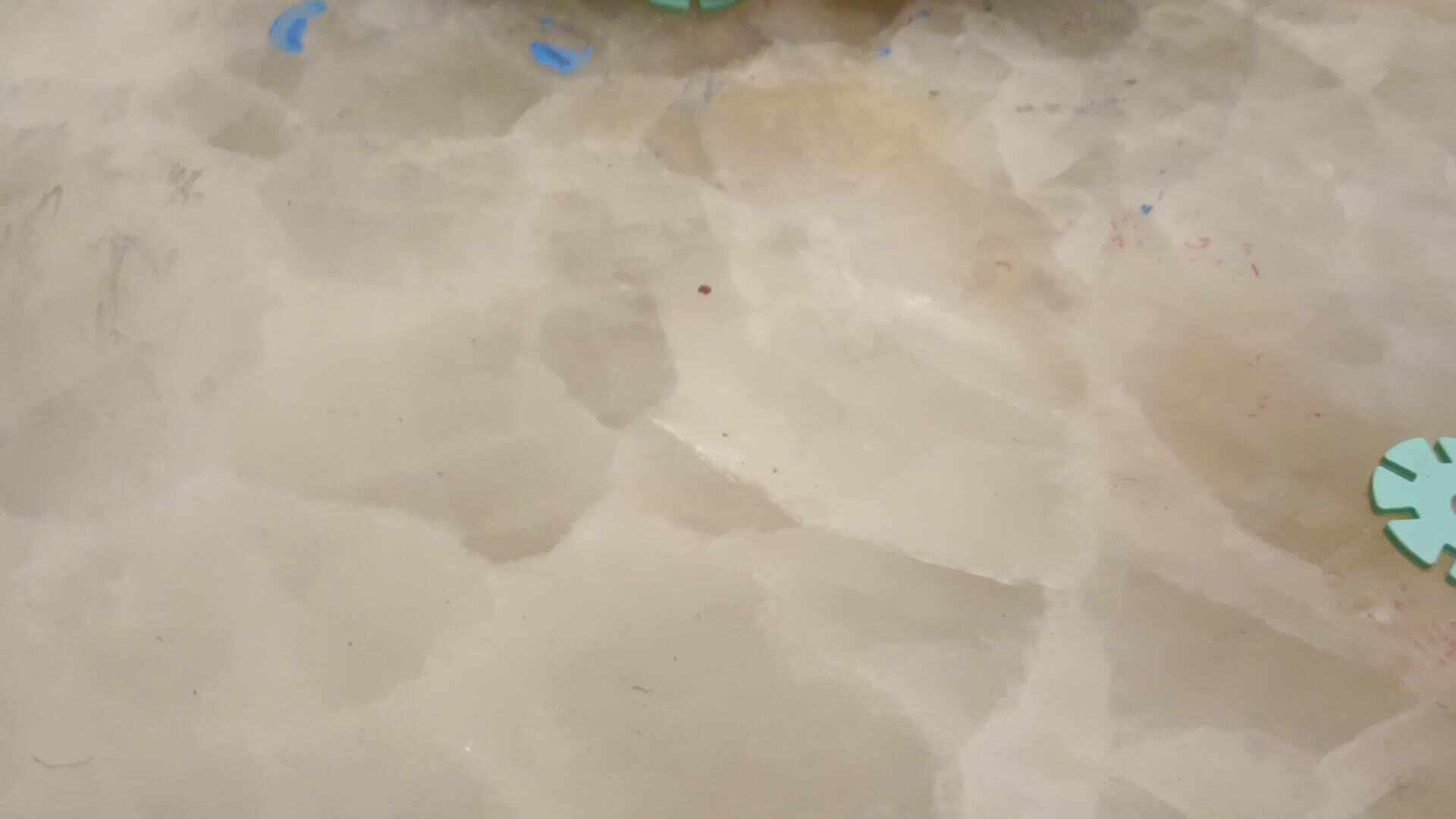 20231204大B班任依恬数物对应《18》