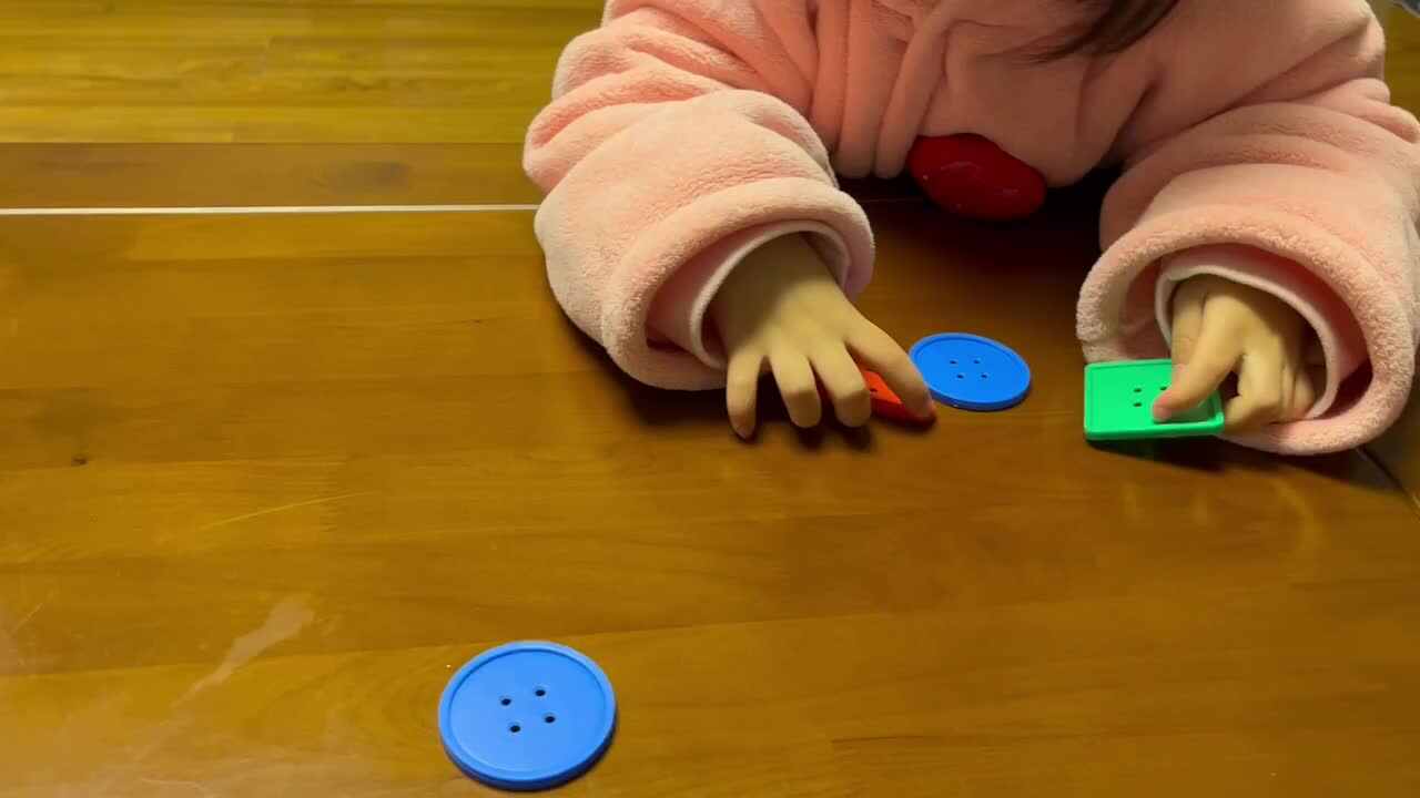 中B班李茵琪练习按形状排序.MOV