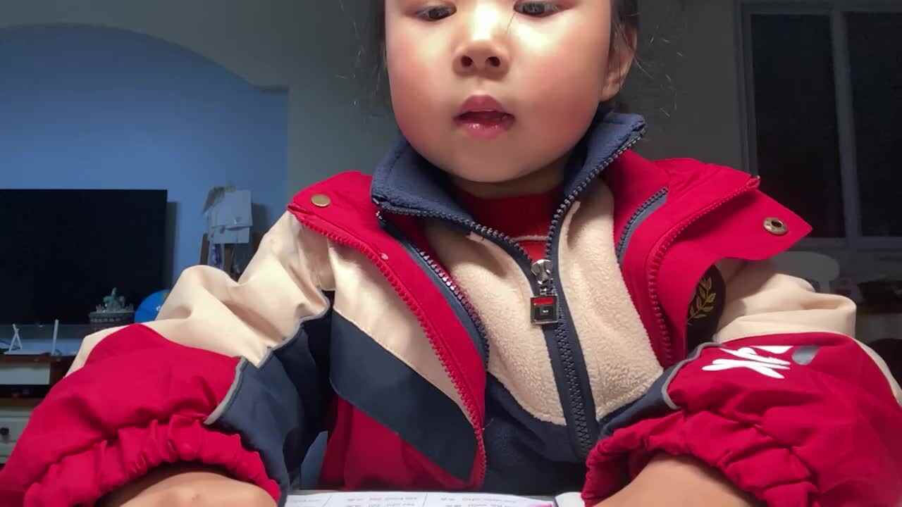 2023.12.11闯关练习-拼音-拼音练习五268-288