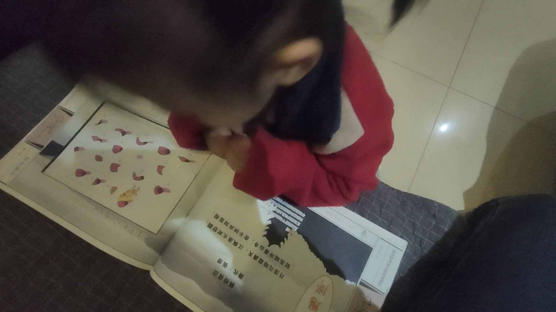 2023.12.8枫桥夜泊.mp4