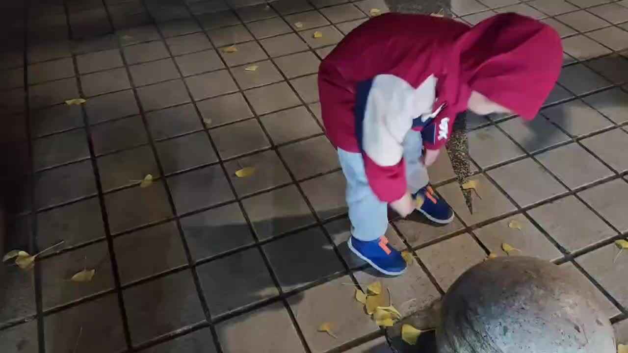 mmexport1703083656852.mp4