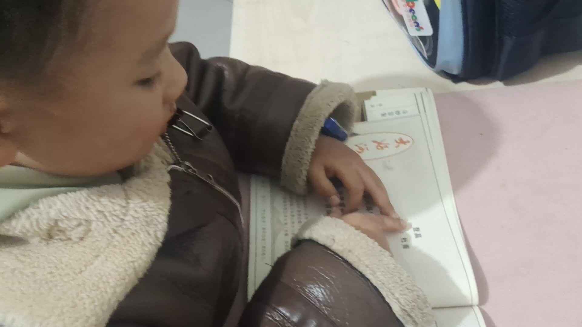 大B班王子扬指读登高