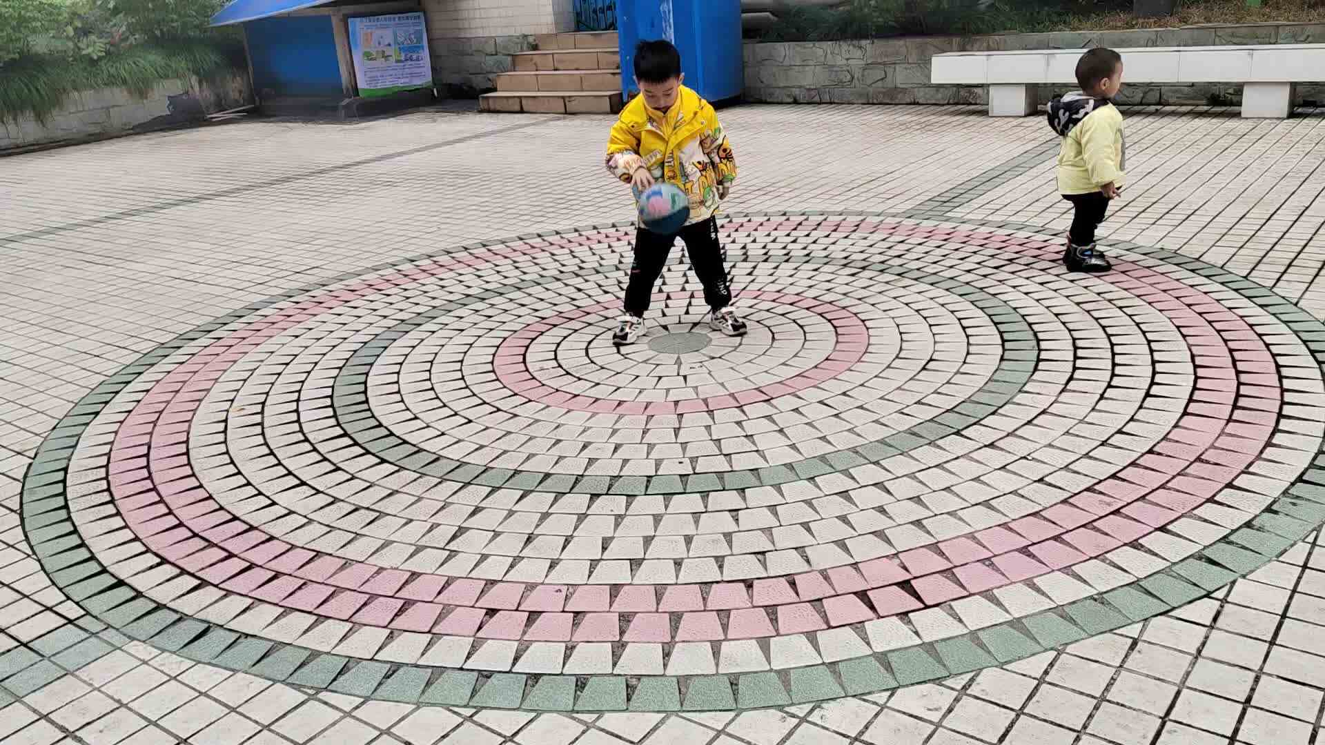 VID_20231203_145716.mp4