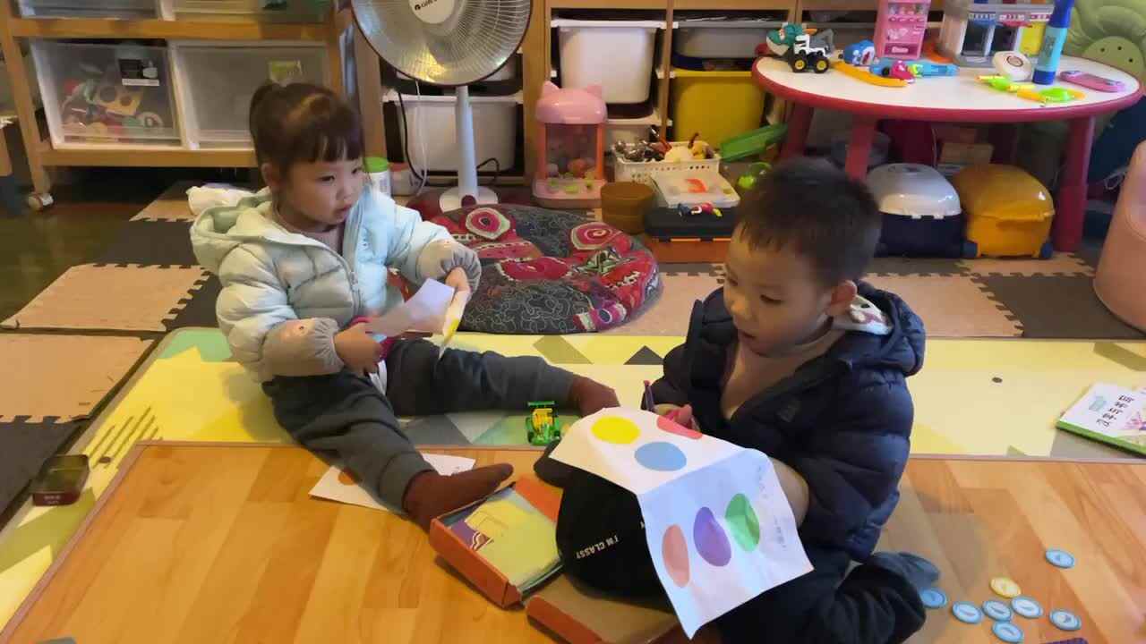 剪纸圆形&椭圆形