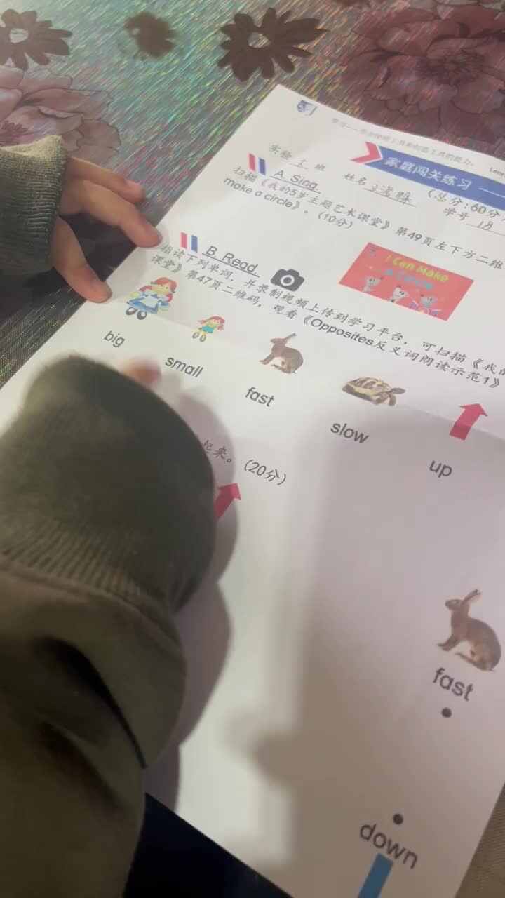 实验大班文浚棵2023.12.1