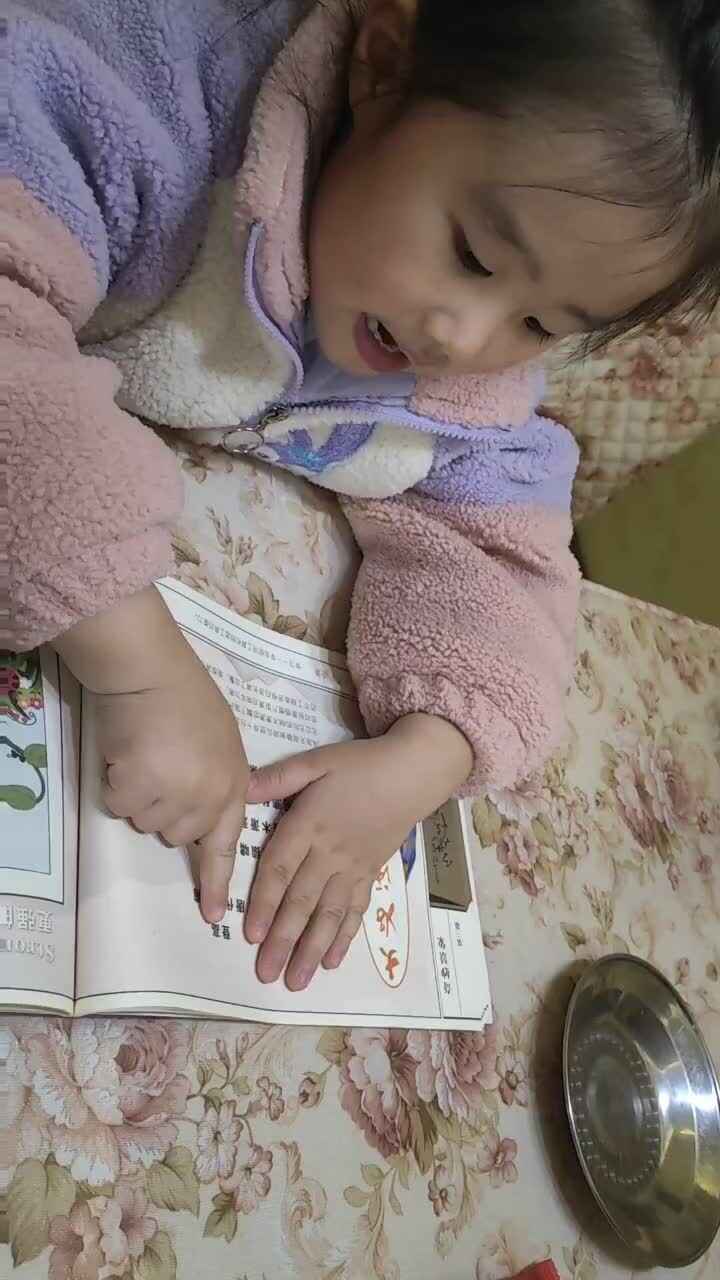 古诗《登高》23.12.26