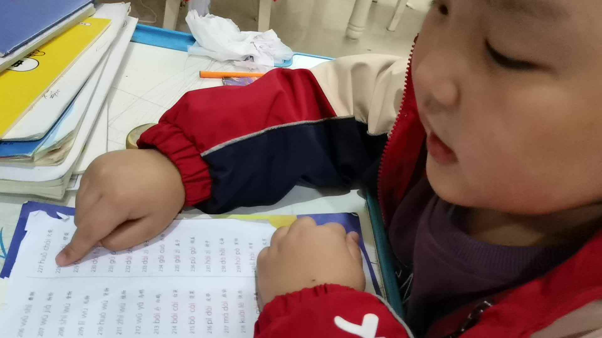 指读拼音练习227-247