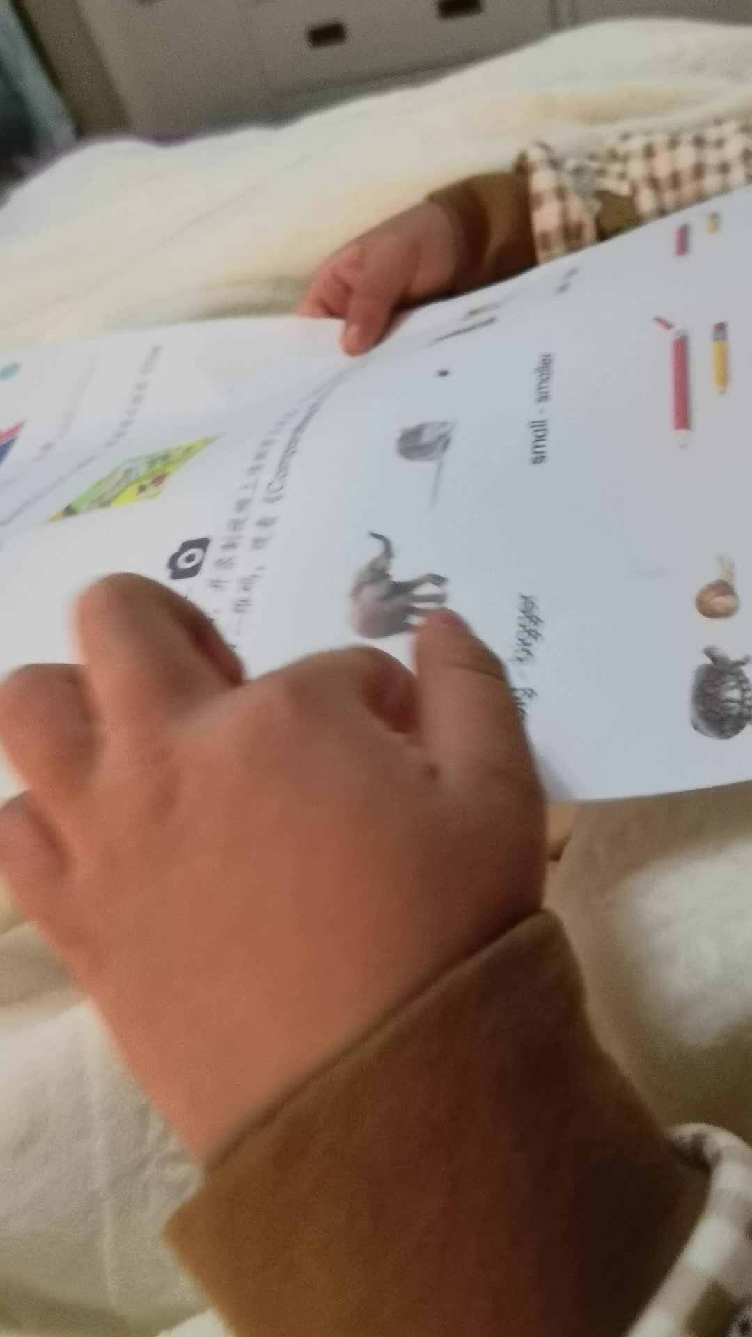 VID_20240101_204922.mp4