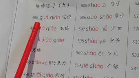⁣20240103陈彦兮闯关练习拼读练习九486-504