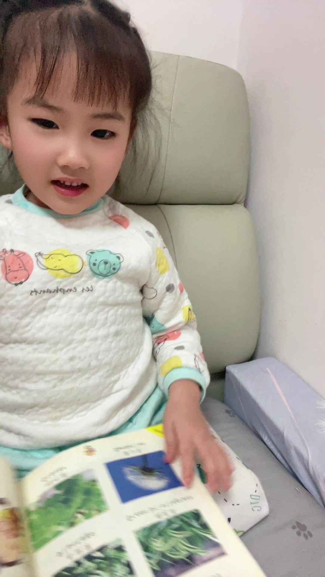 中B班 李曦蕊 复习24页内容
