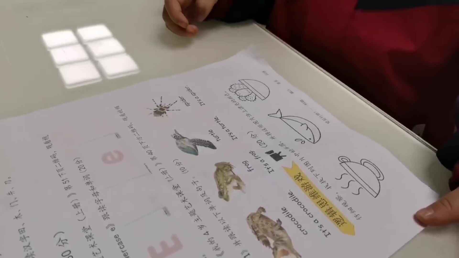 宁汐言认识半圆+涂颜色