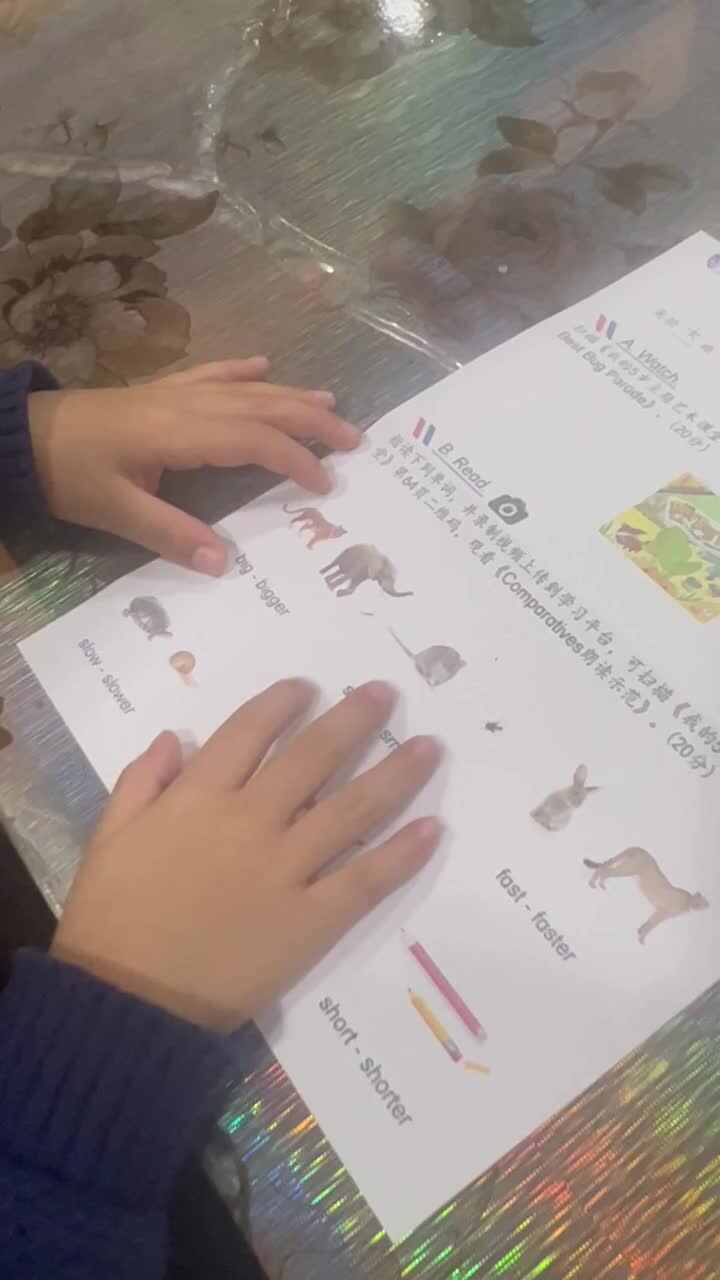 实验大班文浚棵2024.1.1