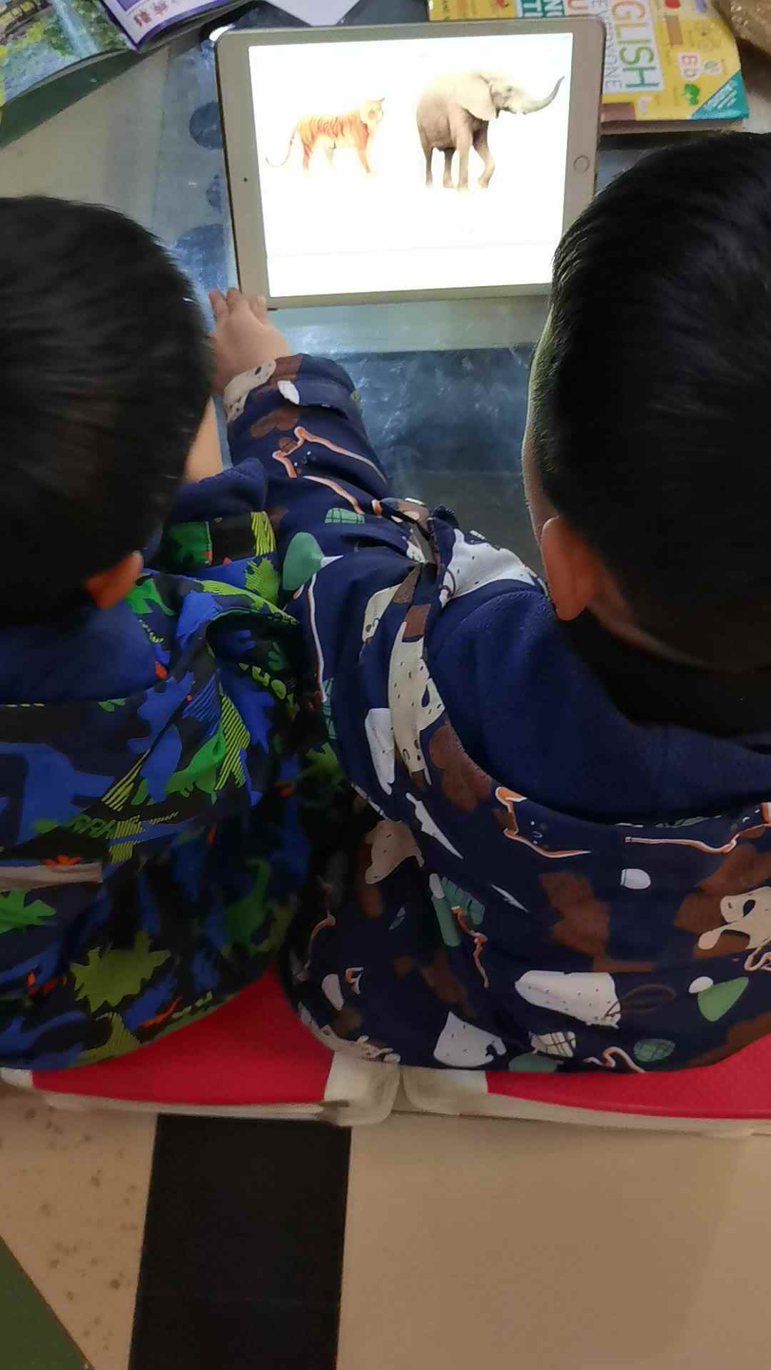 VID_20240114_195619.mp4