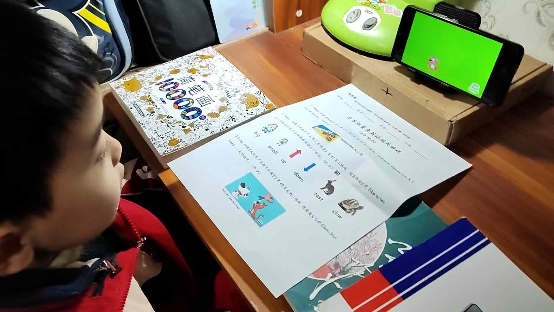 VID_20240105_193028.mp4