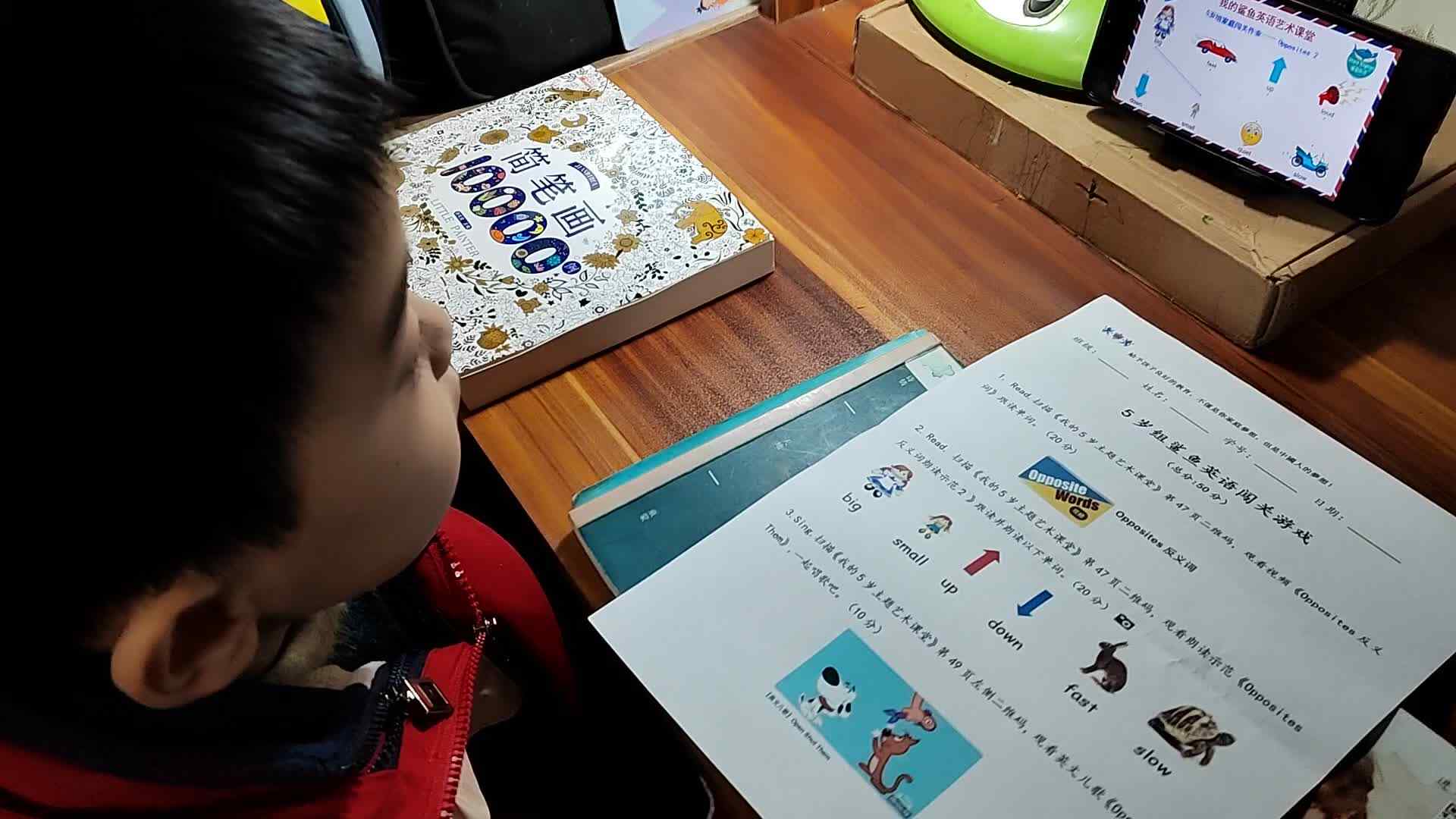 VID_20240105_192725.mp4