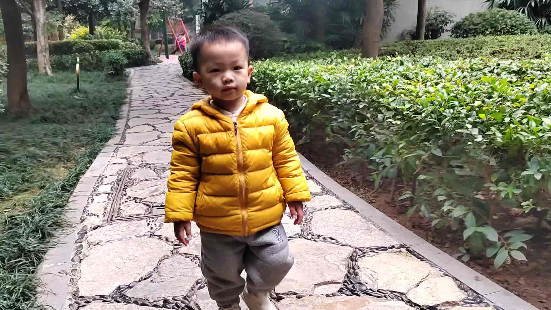 小a班2024.1.14陈禹呈语言游戏—丢手绢