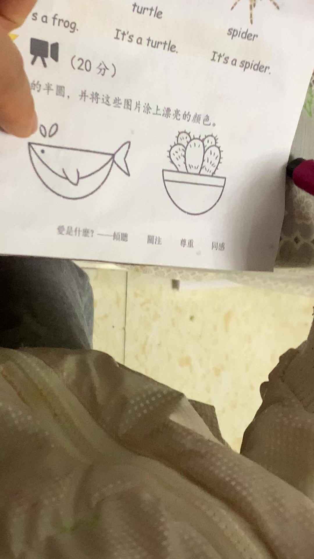 找半圆并图上颜色