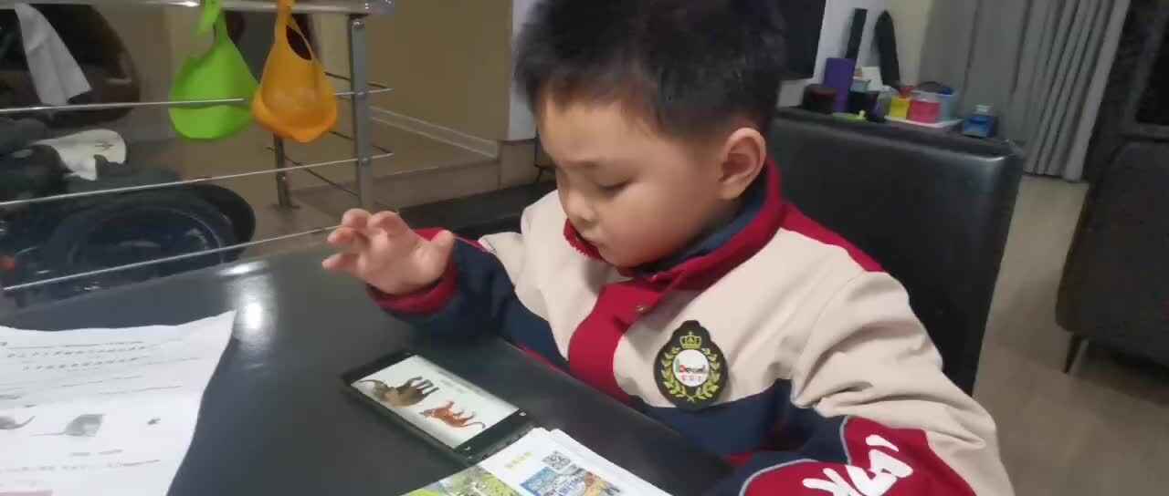 mmexport1705822963101.mp4