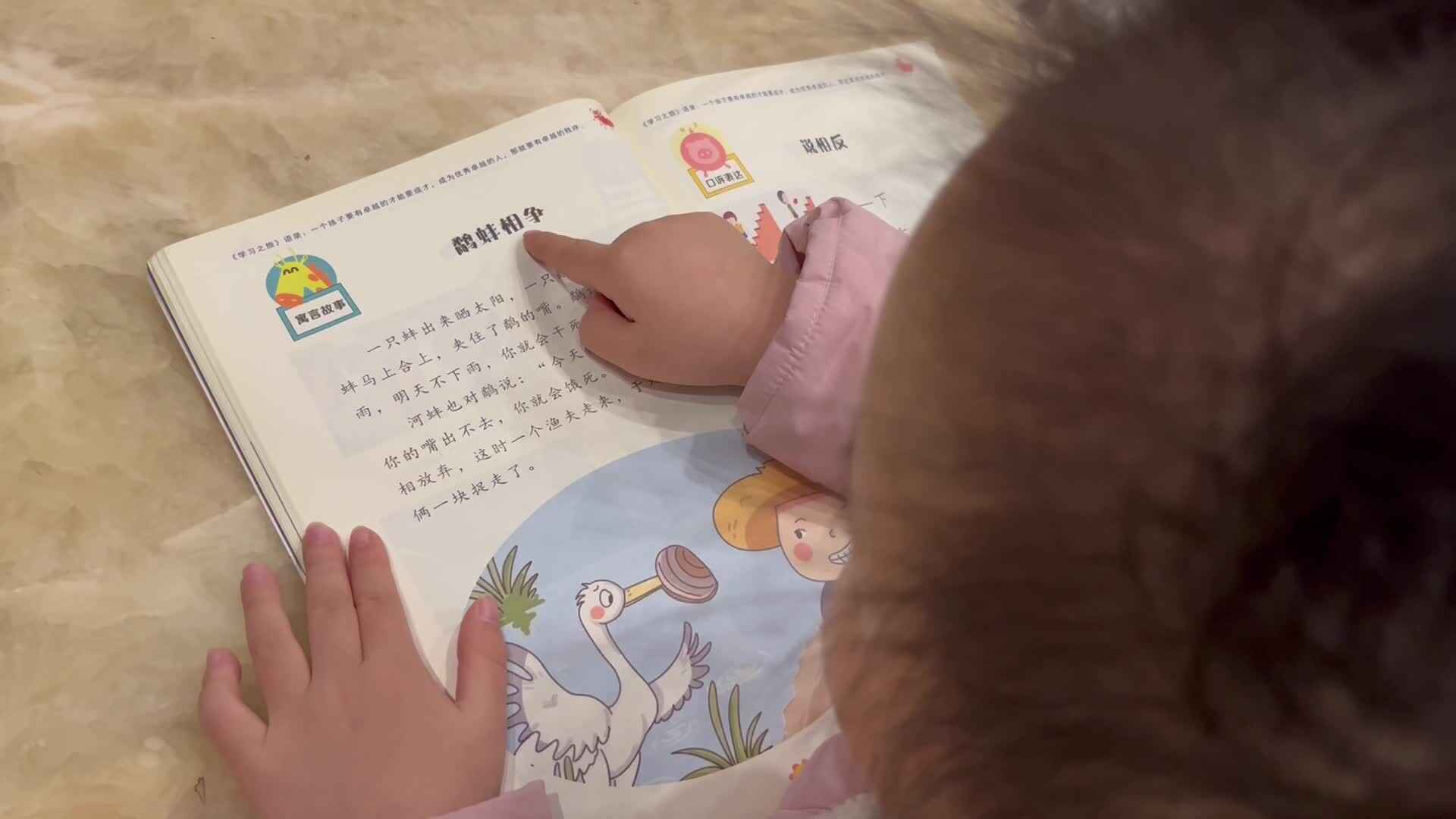 讲故事鹬蚌相争